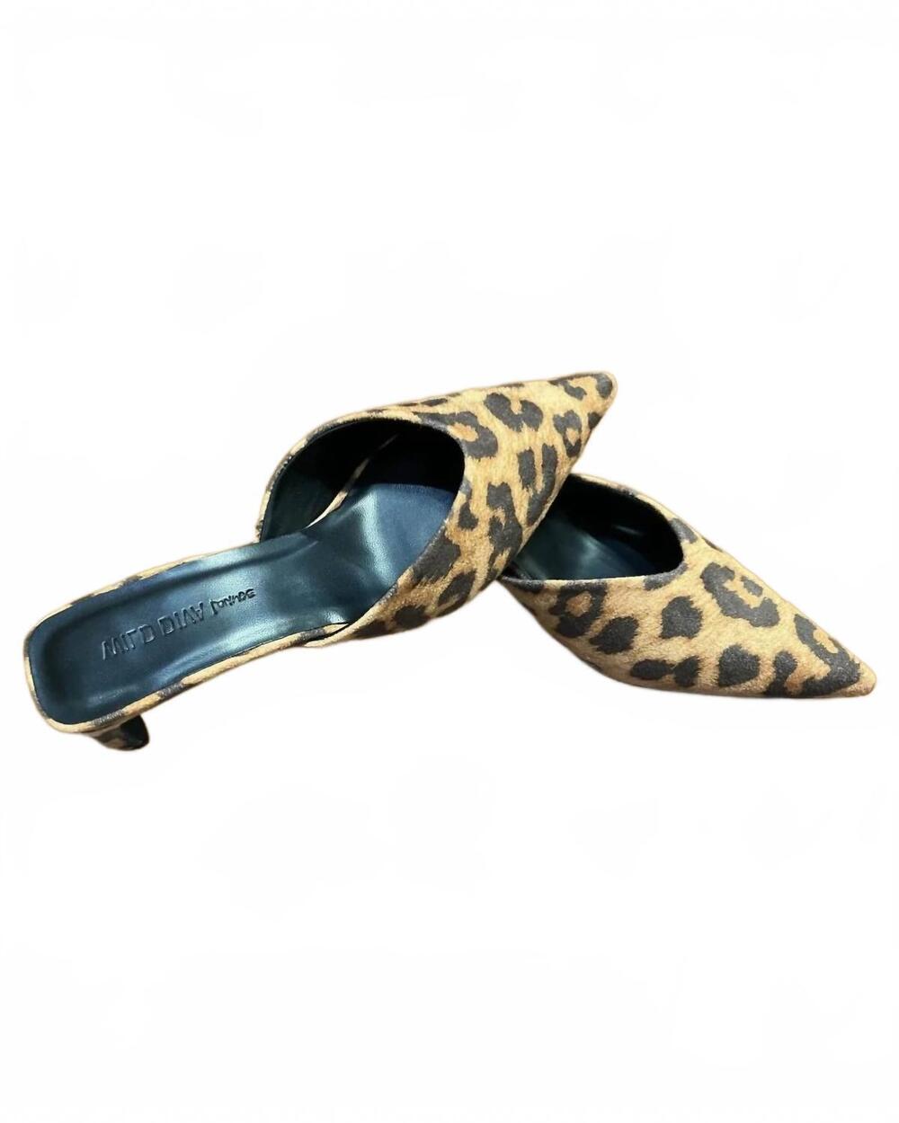NEW CCOCCI women's pointed toe mule heels in leopard